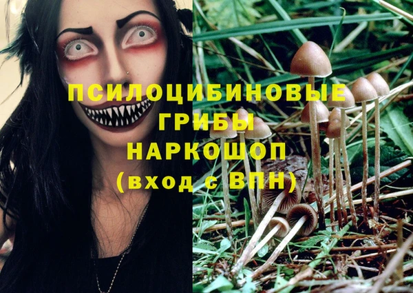 MESCALINE Богородицк