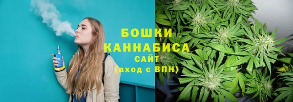 бошки Богданович